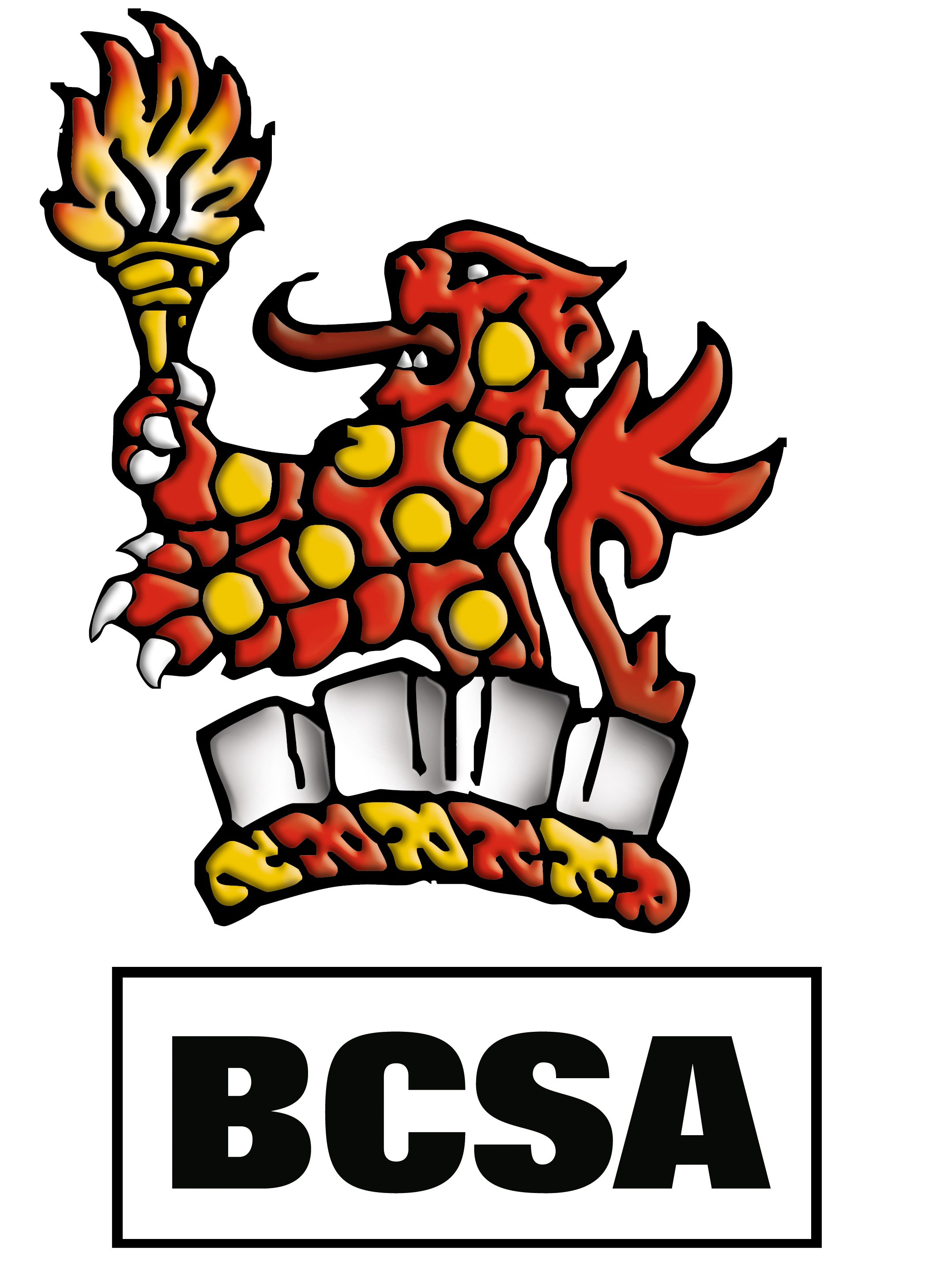 BCSA Christmas Meeting 2017